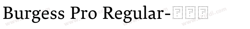 Burgess Pro Regular字体转换 Burgess Pro Regular字体转换